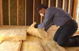 Best Insulation Removal  in Durand, IL